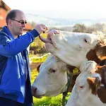 Farm stay Straussenhof Halmer Oberndorf an der Melk