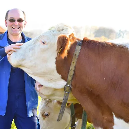 Straussenhof Halmer Farm stay