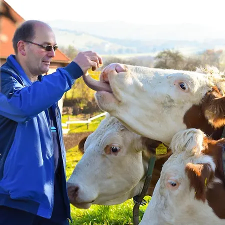 Farm stay Straussenhof Halmer Oberndorf an der Melk