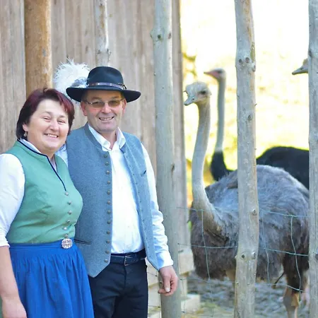 Feriegård Straussenhof Halmer