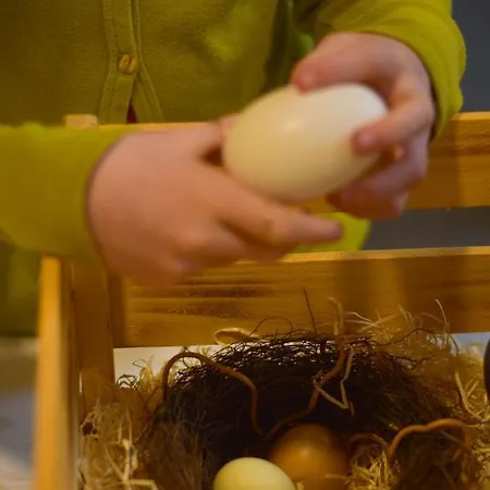 Straussenhof Halmer Feriegård Oberndorf an der Melk