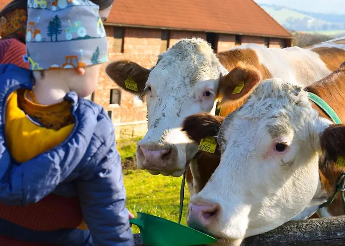 Straussenhof Halmer * Oberndorf an der Melk