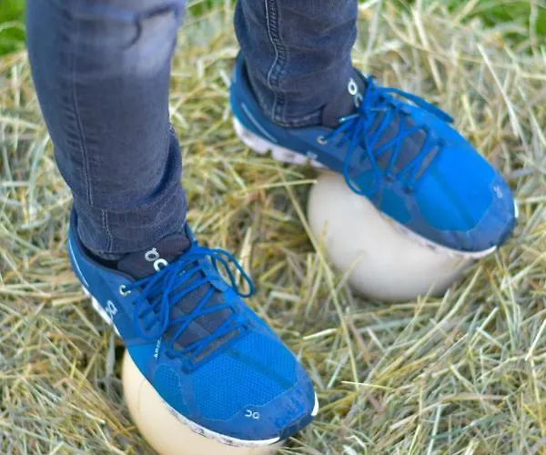 Straussenhof Halmer Lantgård