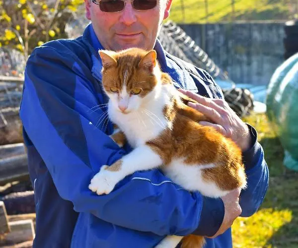 Farm stay Straussenhof Halmer Oberndorf an der Melk