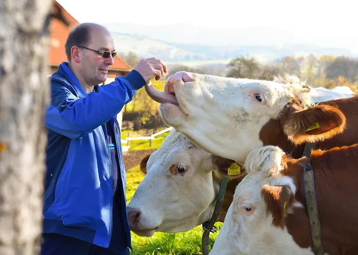 Farm stay Straussenhof Halmer Oberndorf an der Melk