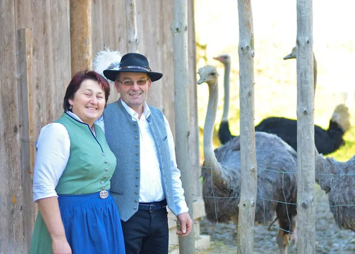 Farm stay Straussenhof Halmer