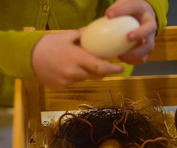 Straussenhof Halmer Lantgård Oberndorf an der Melk